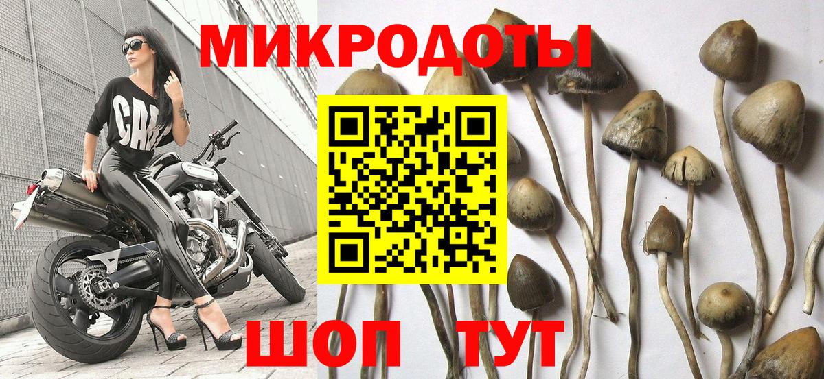 Псилоцибиновые грибы Magic Shrooms  Галлюциногенные грибы ЛСД  Костомукша  Вход с VPN 