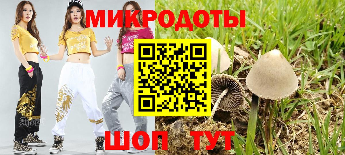 Галлюциногенные грибы MAGIC MUSHROOMS Костомукша